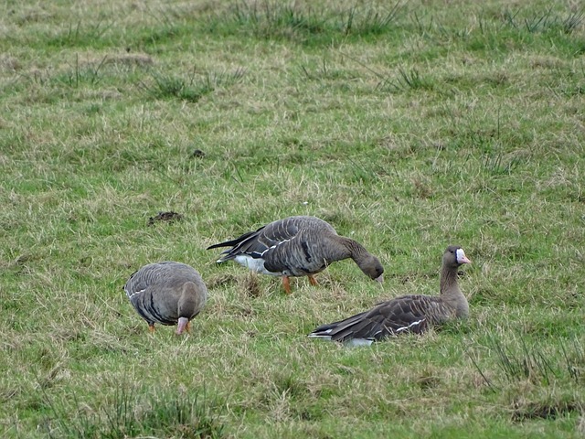 也期待团队 也期待团队