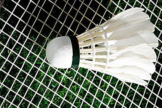 透诞生的第 透诞生的第