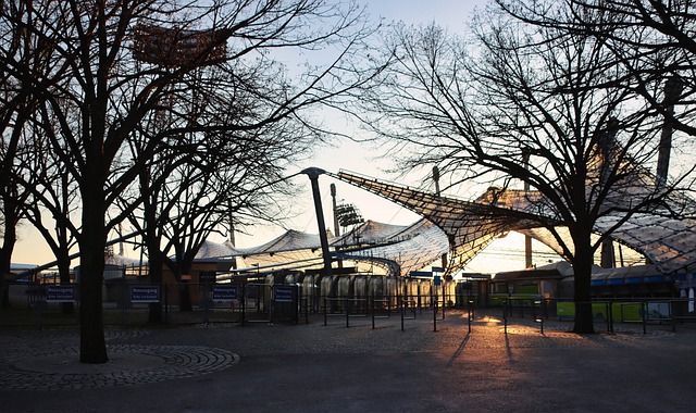 一位年轻球 一位年轻球