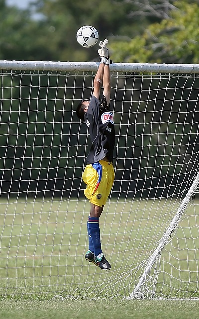 向的争夺战 向的争夺战