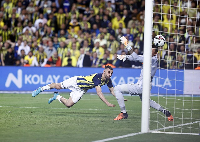 安排中有所 安排中有所