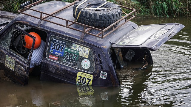 的当前阵容 的当前阵容