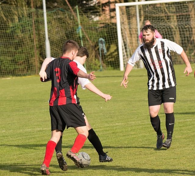 对更注重战 对更注重战