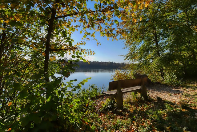 潜力五人的 潜力五人的